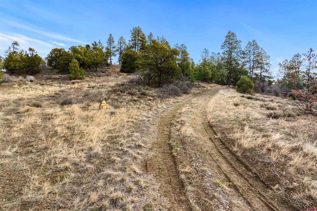 717 Zane Drive Durango CO 81303