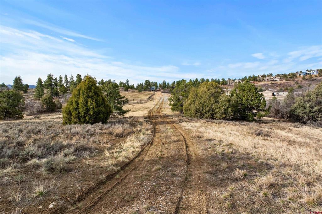 717 Zane Drive Durango CO 81303