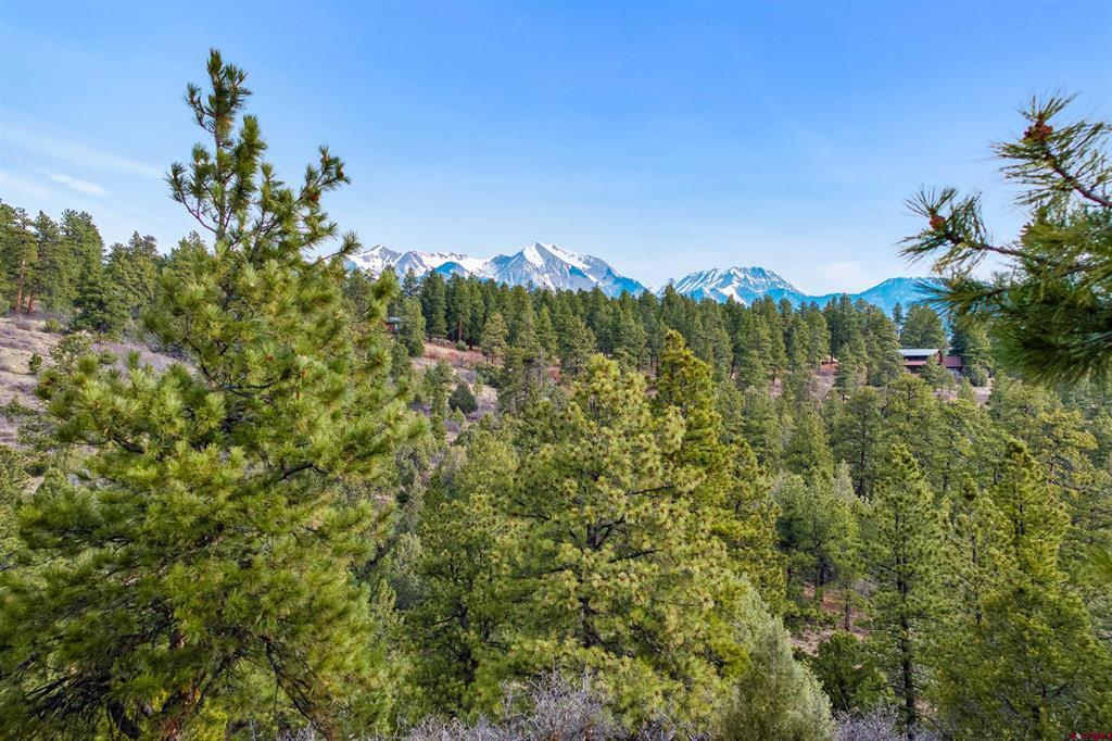 717 Zane Drive Durango CO 81303