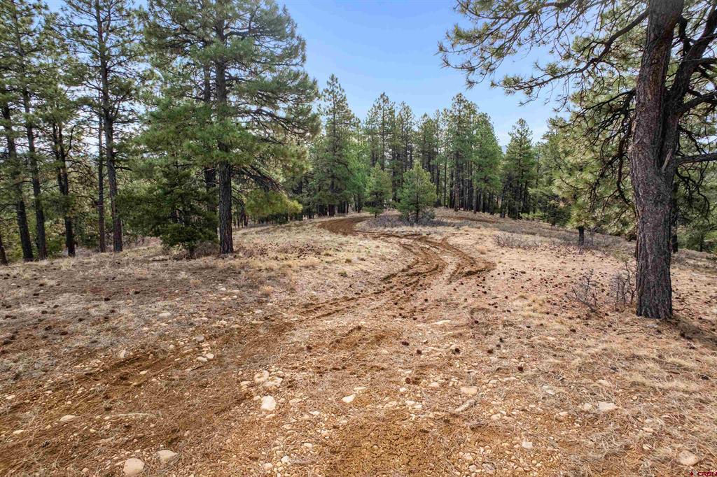 717 Zane Drive Durango CO 81303