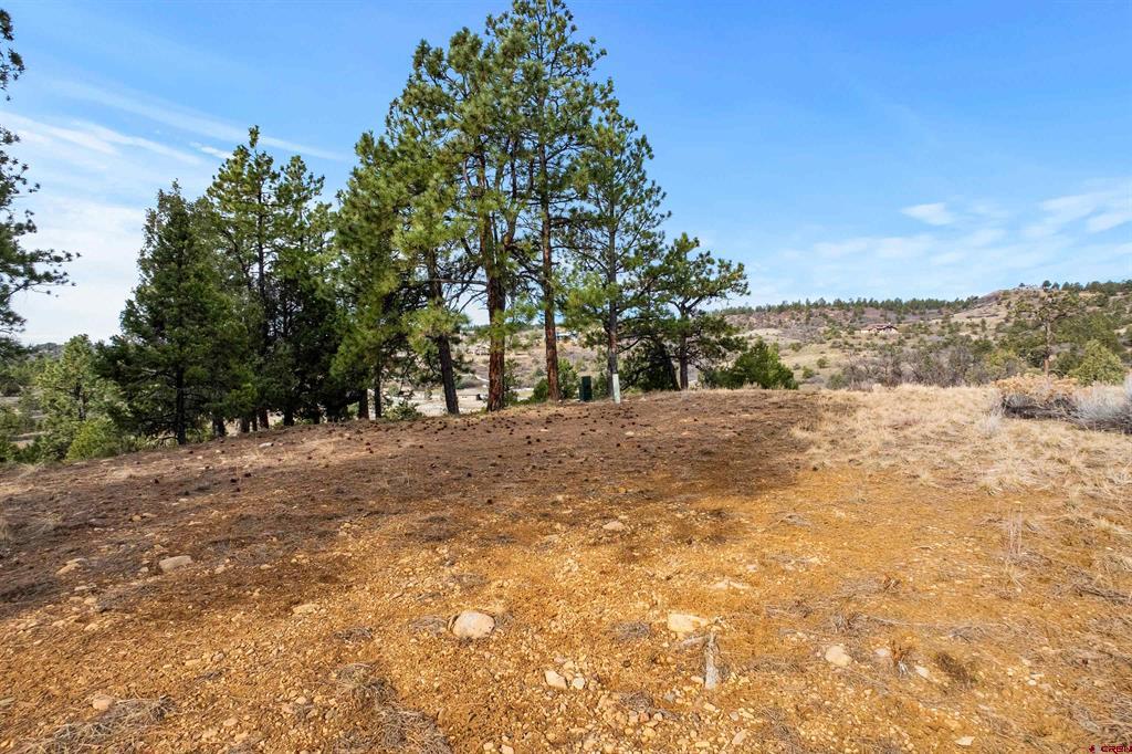 717 Zane Drive Durango CO 81303