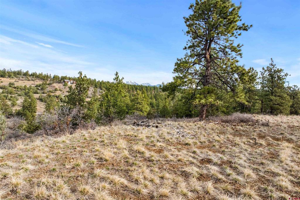 717 Zane Drive Durango CO 81303