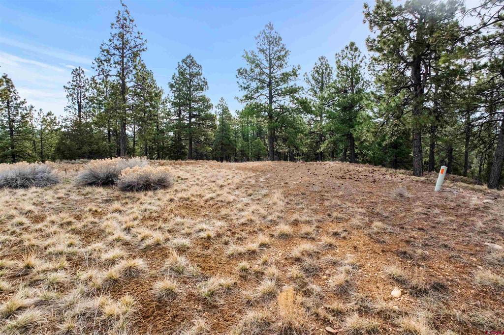 717 Zane Drive Durango CO 81303
