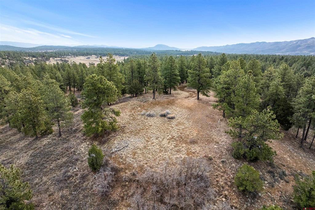 717 Zane Drive Durango CO 81303