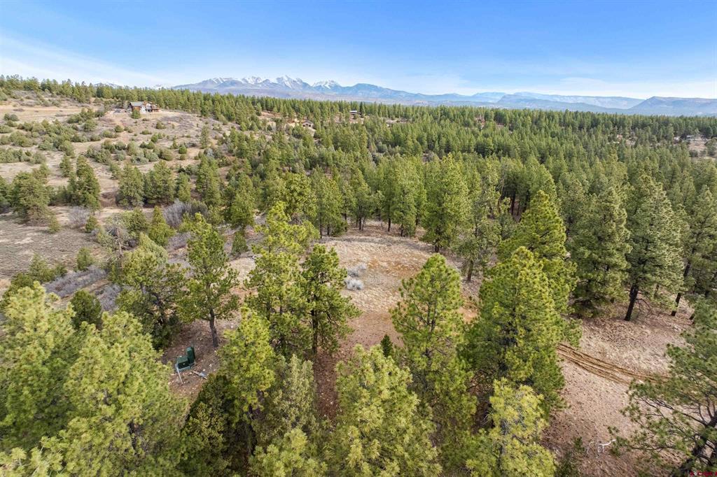 717 Zane Drive Durango CO 81303