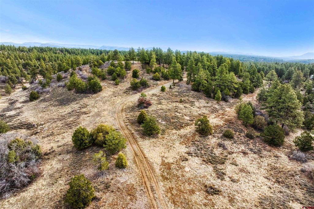 717 Zane Drive Durango CO 81303