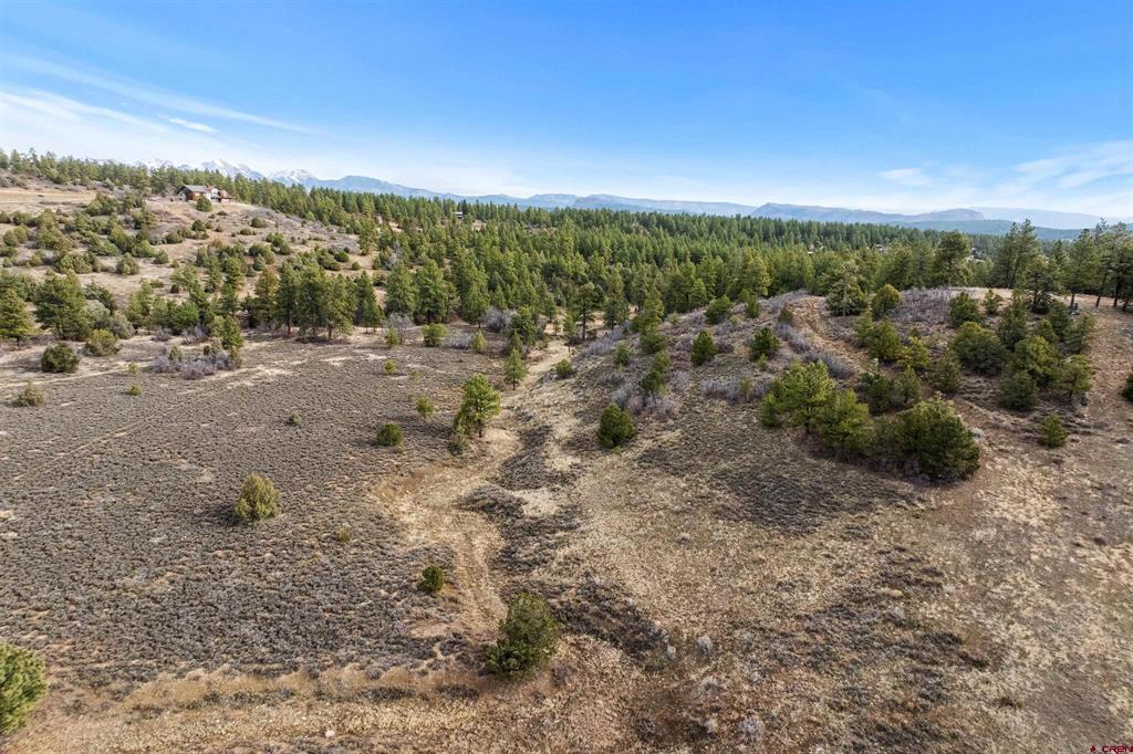 717 Zane Drive Durango CO 81303