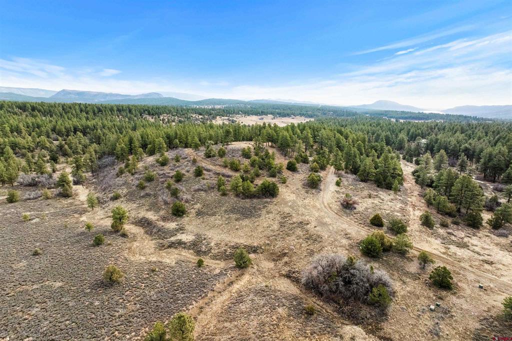 717 Zane Drive Durango CO 81303