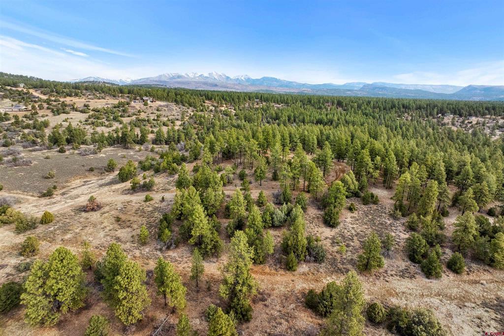717 Zane Drive Durango CO 81303