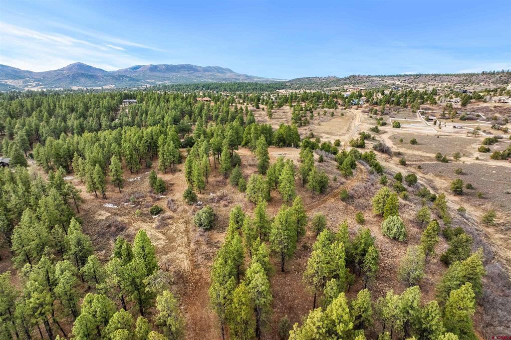 717 Zane Drive Durango CO 81303