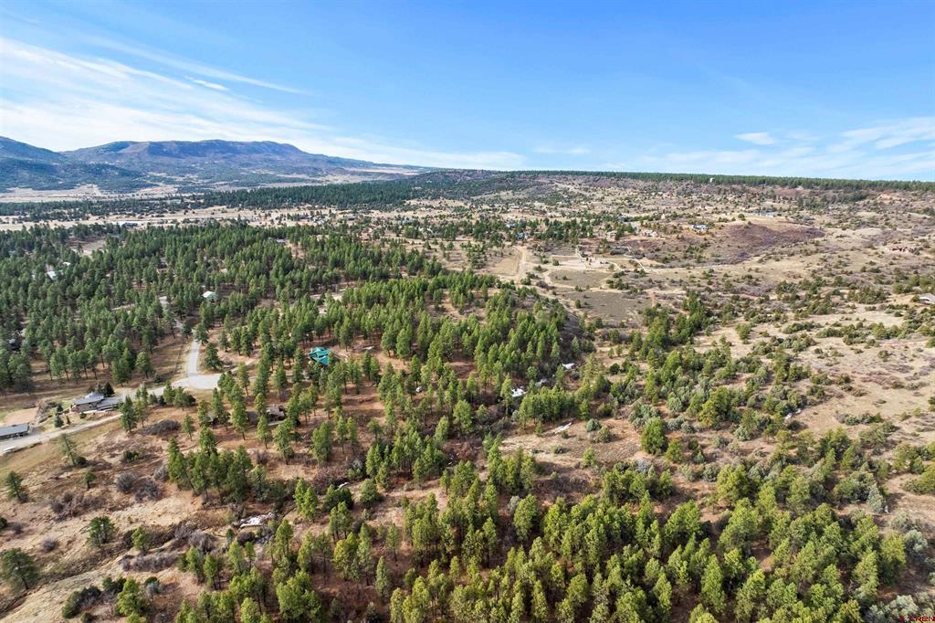 717 Zane Drive Durango CO 81303