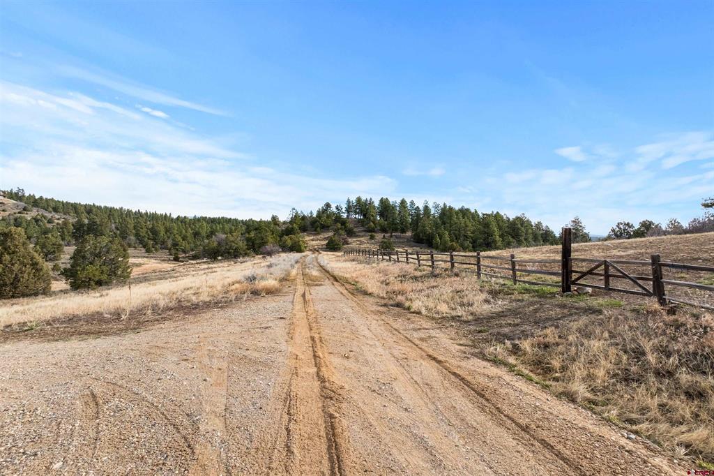 717 Zane Drive Durango CO 81303
