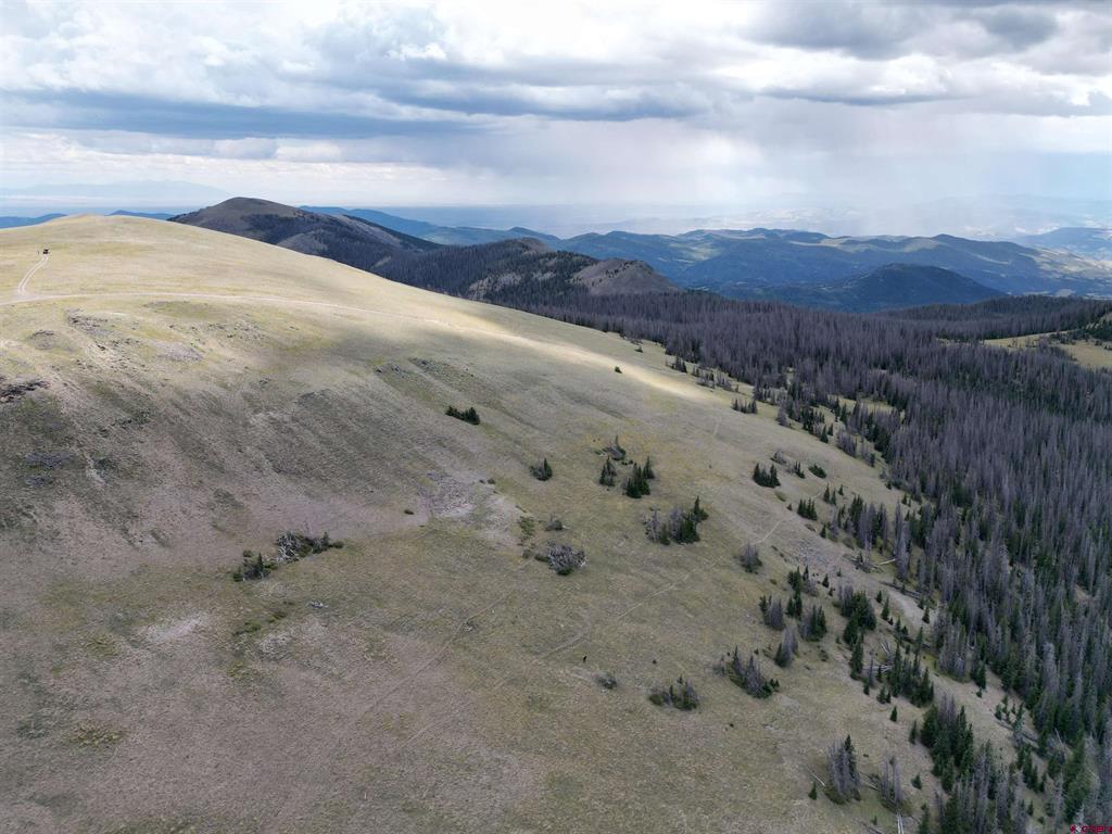 Gold Standard Sawmill Gulch Road Saguache CO 81149