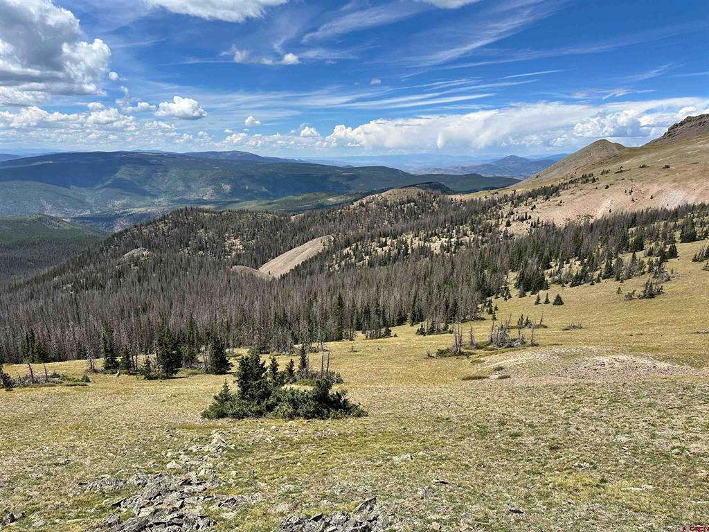 Gold Standard Sawmill Gulch Road Saguache CO 81149