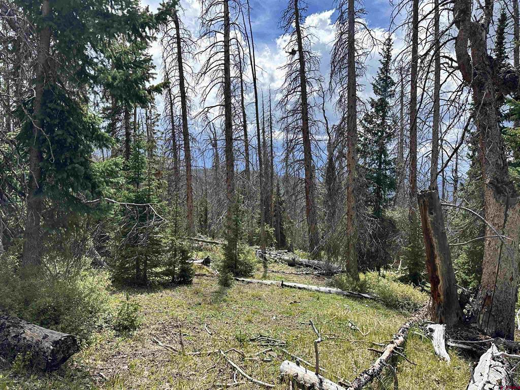Gold Standard Sawmill Gulch Road Saguache CO 81149