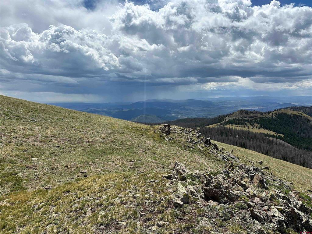 Gold Standard Sawmill Gulch Road Saguache CO 81149