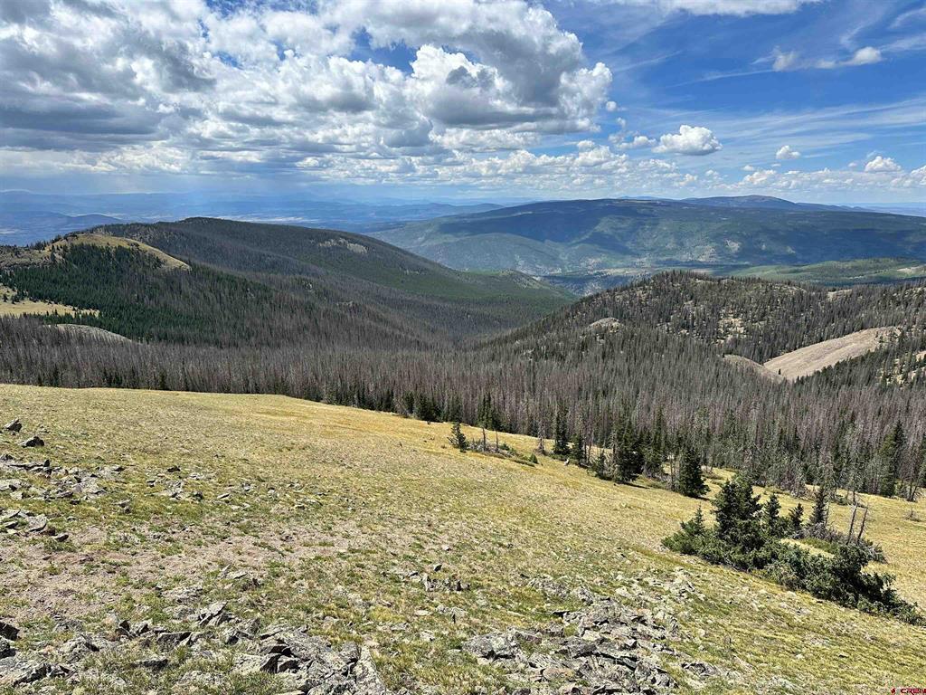 Gold Standard Sawmill Gulch Road Saguache CO 81149