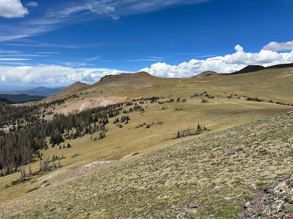 Gold Standard Sawmill Gulch Road Saguache CO 81149