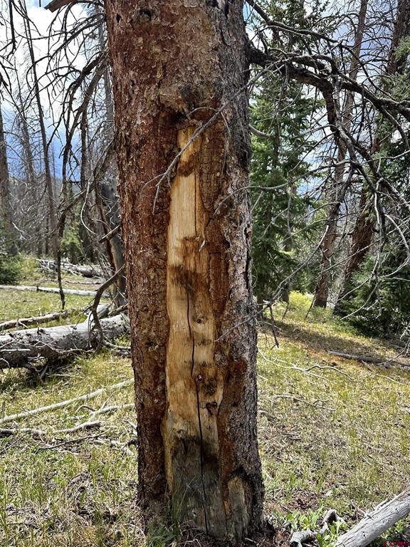 Gold Standard Sawmill Gulch Road Saguache CO 81149