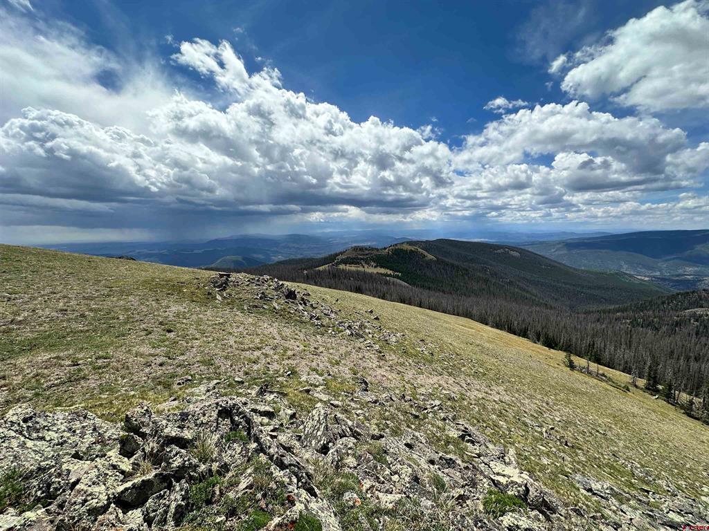 Gold Standard Sawmill Gulch Road Saguache CO 81149