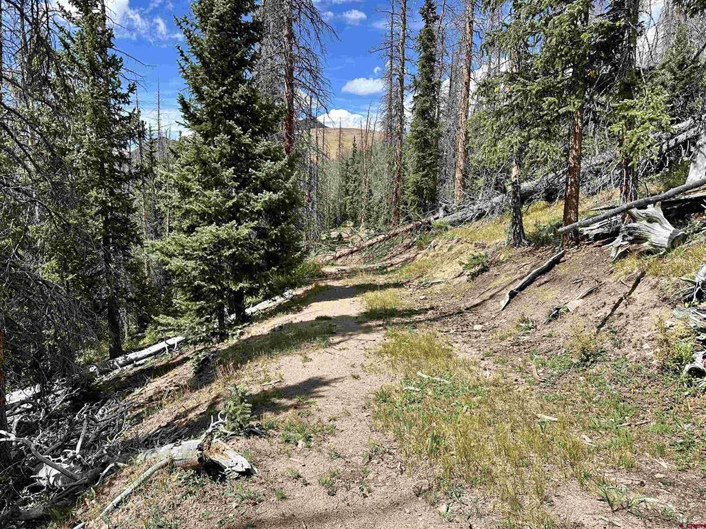 Gold Standard Sawmill Gulch Road Saguache CO 81149