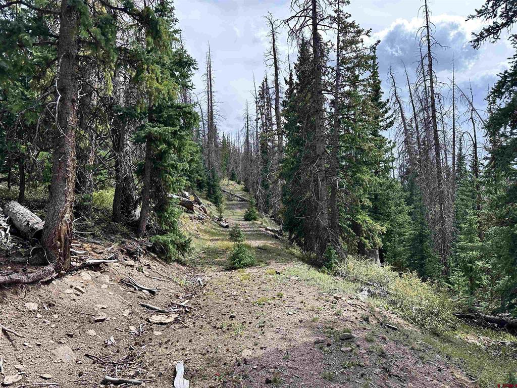 Gold Standard Sawmill Gulch Road Saguache CO 81149