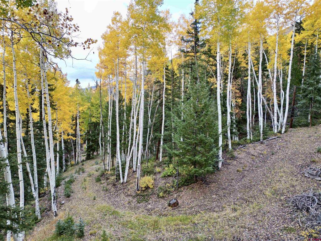 6 Alpine Vista Court Lake City CO 81235