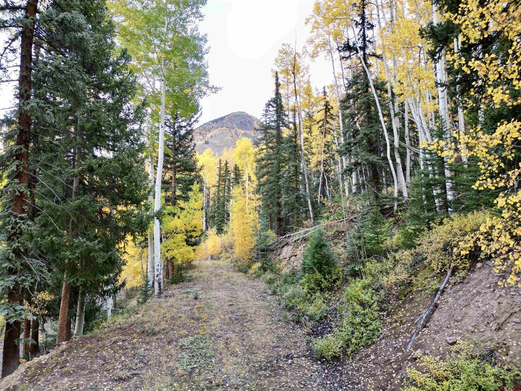 6 Alpine Vista Court Lake City CO 81235