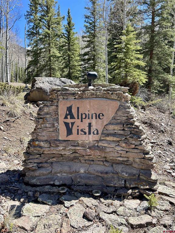6 Alpine Vista Court Lake City CO 81235