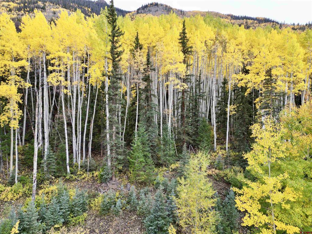 6 Alpine Vista Court Lake City CO 81235