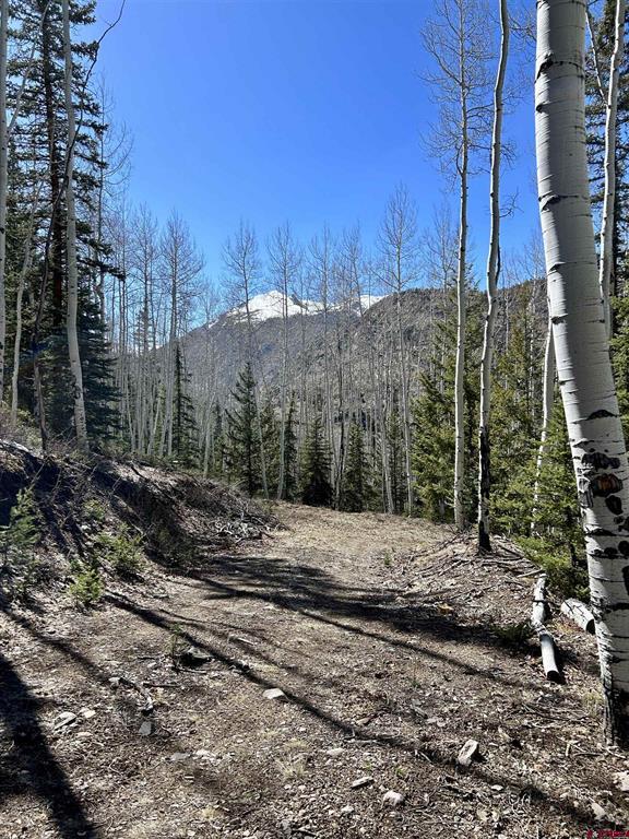 6 Alpine Vista Court Lake City CO 81235