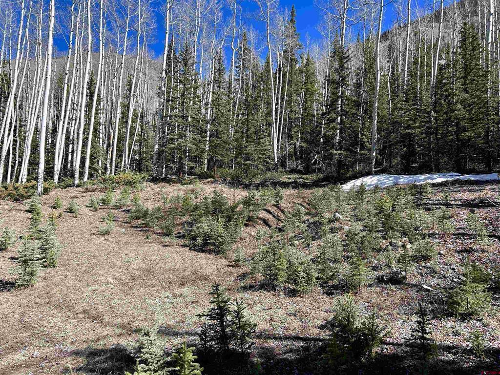 6 Alpine Vista Court Lake City CO 81235