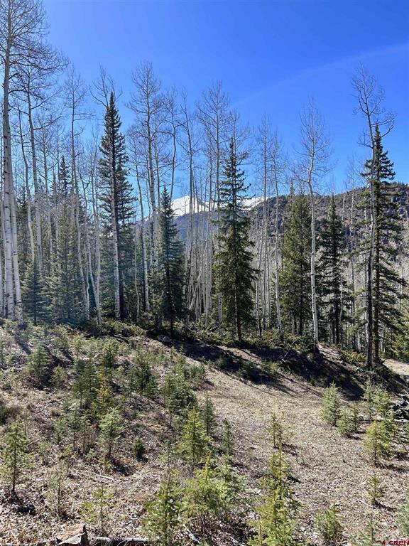 6 Alpine Vista Court Lake City CO 81235