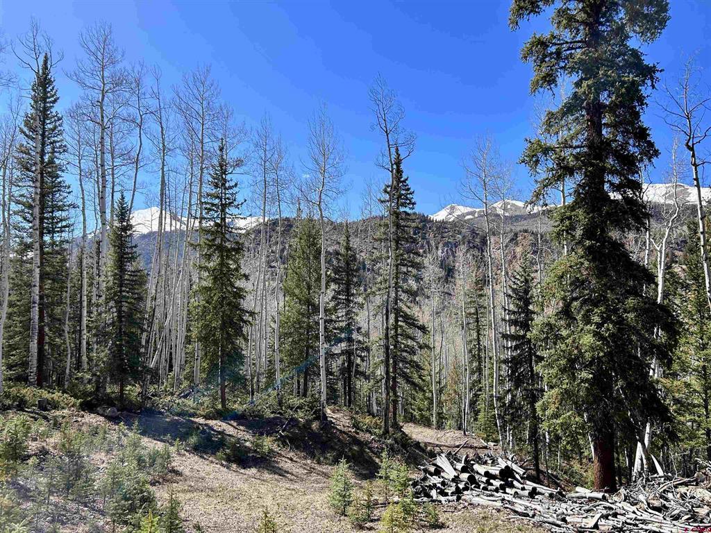 6 Alpine Vista Court Lake City CO 81235