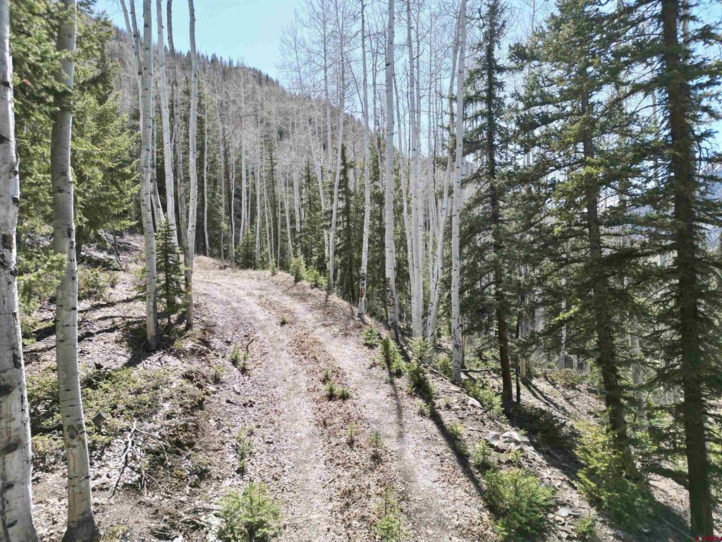 6 Alpine Vista Court Lake City CO 81235