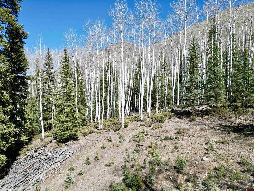 6 Alpine Vista Court Lake City CO 81235