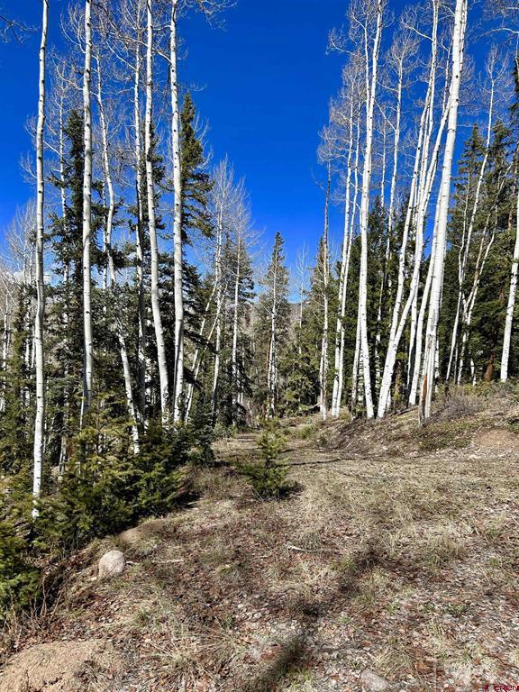 6 Alpine Vista Court Lake City CO 81235