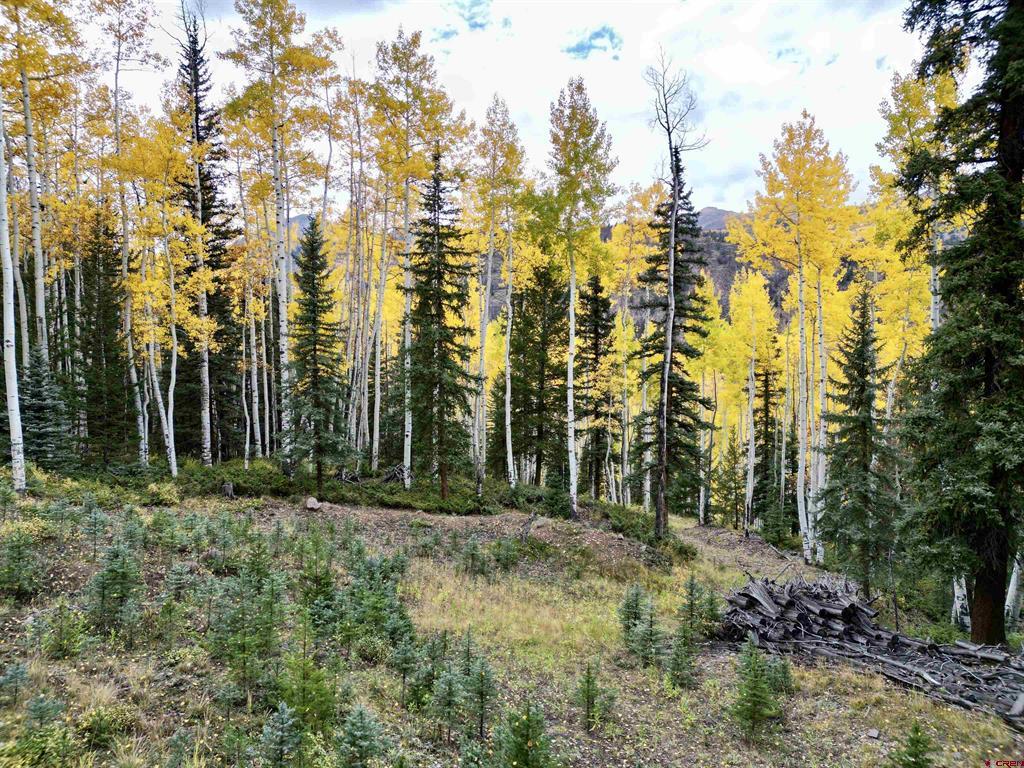 6 Alpine Vista Court Lake City CO 81235