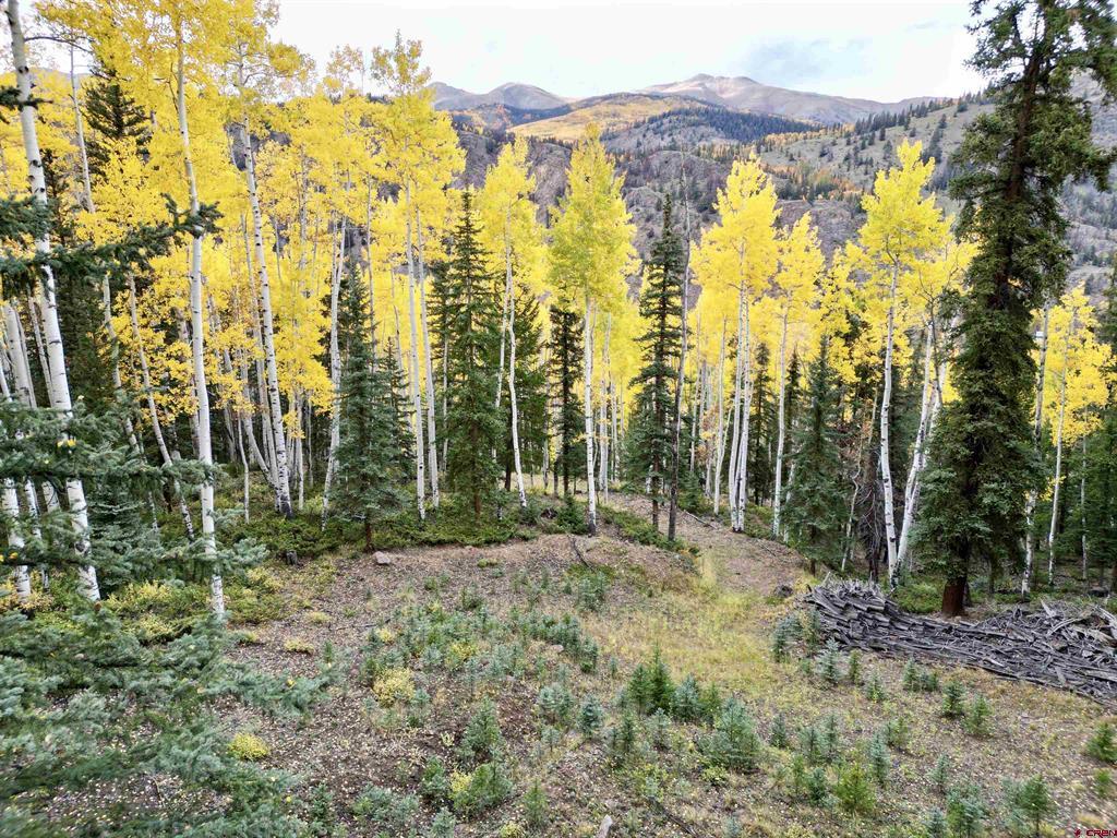 6 Alpine Vista Court Lake City CO 81235