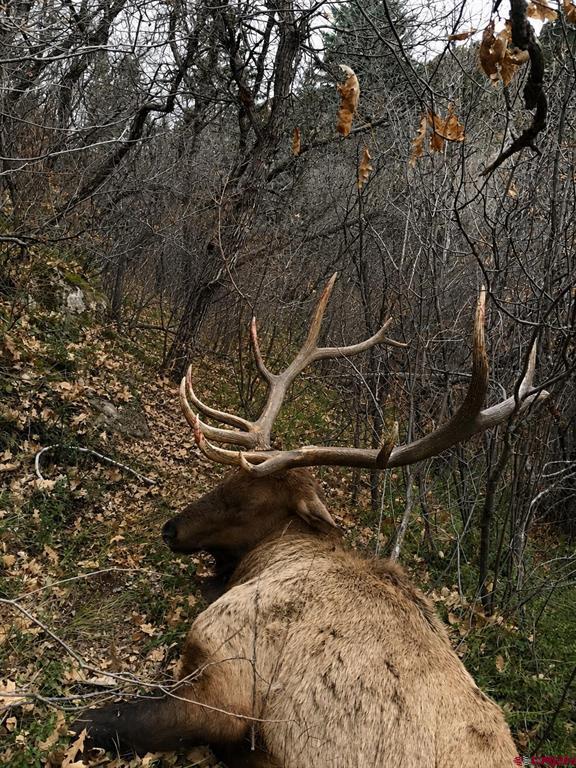 1050 Barnes Point Drive Montrose CO 81403