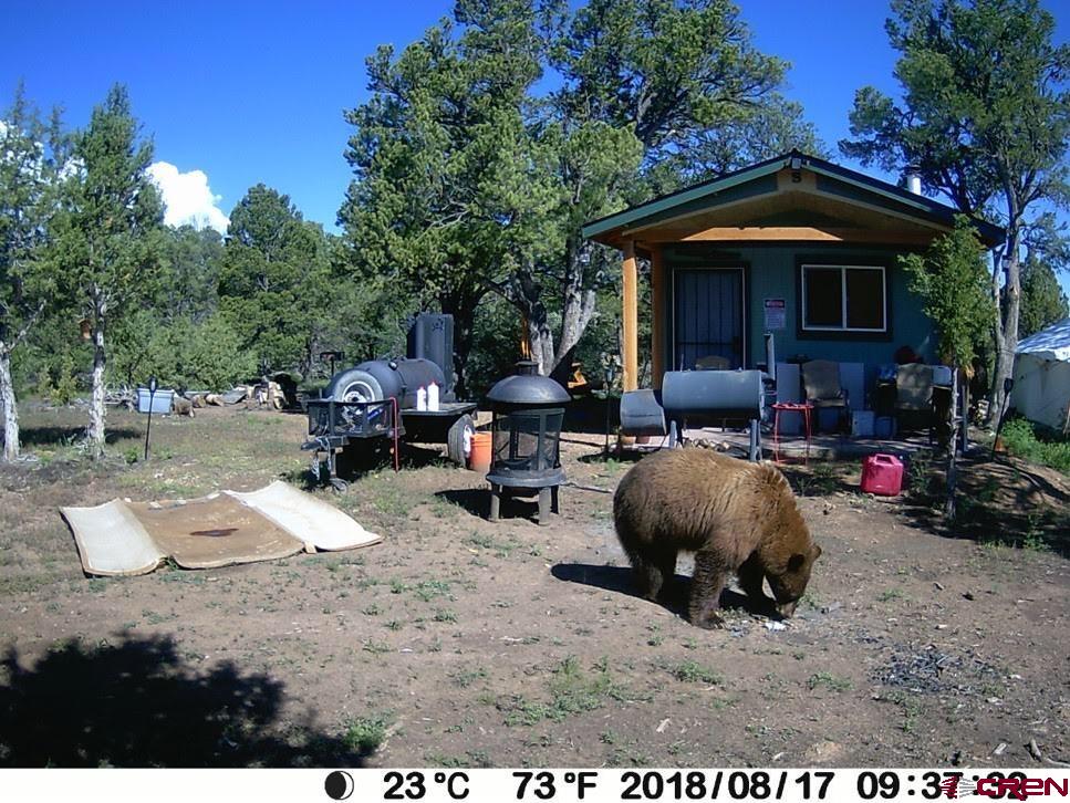 1050 Barnes Point Drive Montrose CO 81403