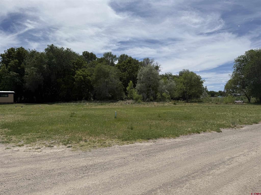 461, 489 W Main, Spring Creek Rd & 14750 Marine Road Montrose CO 81403