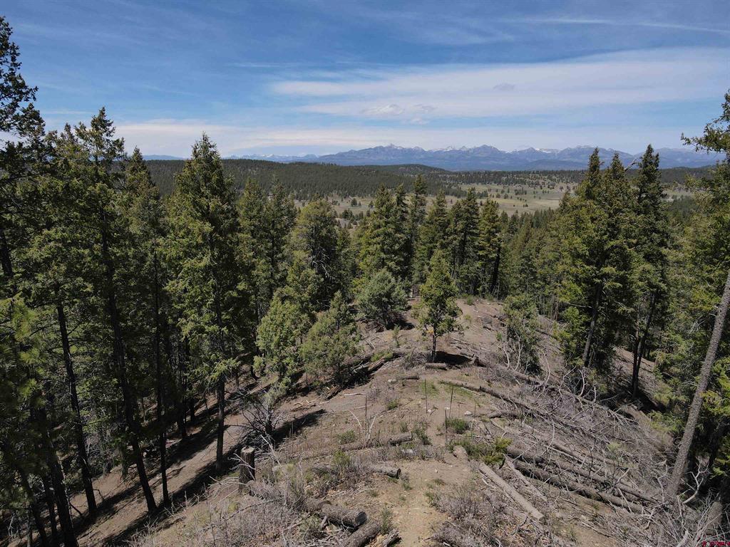438 Loma Vista Court Pagosa Springs CO 81147