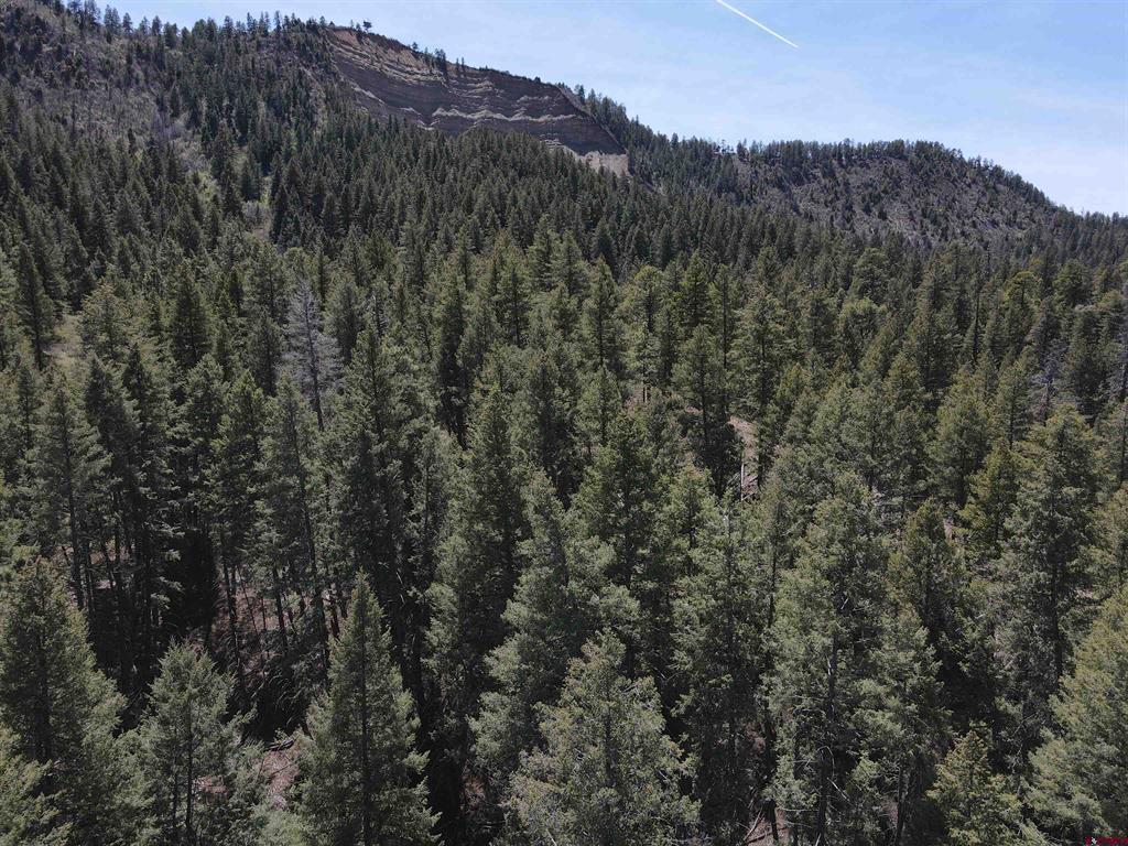 438 Loma Vista Court Pagosa Springs CO 81147