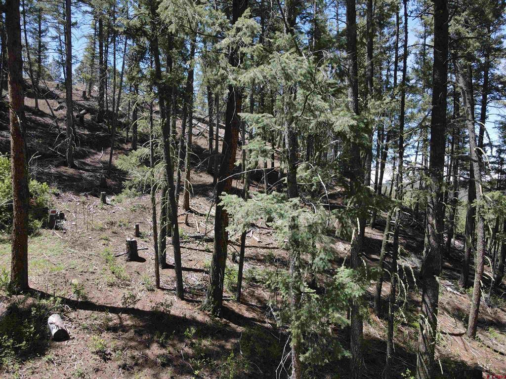 438 Loma Vista Court Pagosa Springs CO 81147