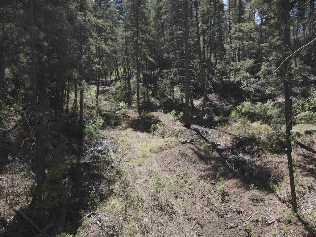 438 Loma Vista Court Pagosa Springs CO 81147