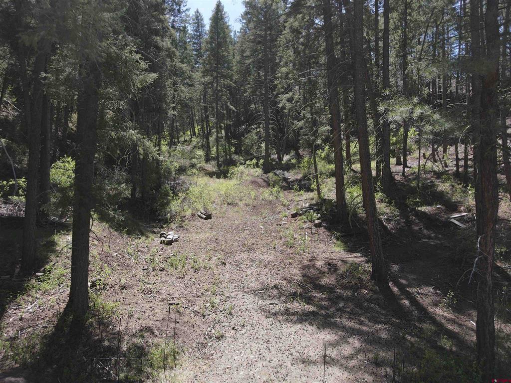 438 Loma Vista Court Pagosa Springs CO 81147
