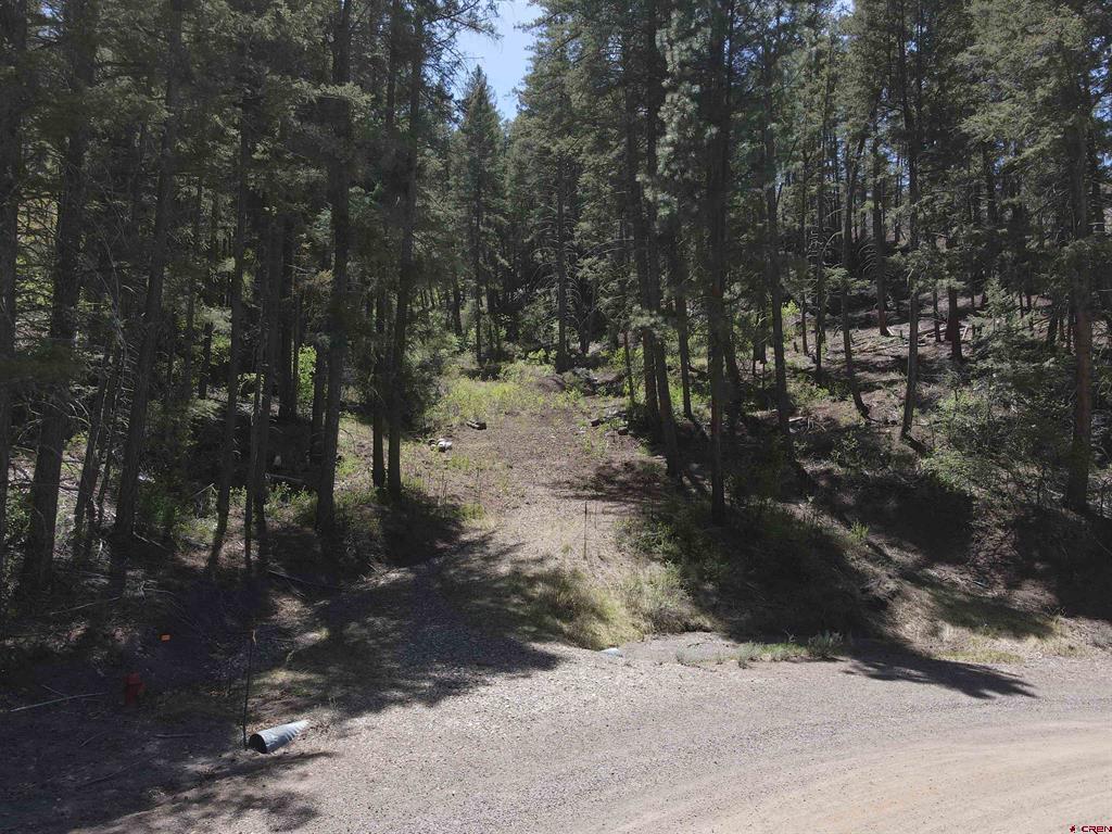 438 Loma Vista Court Pagosa Springs CO 81147
