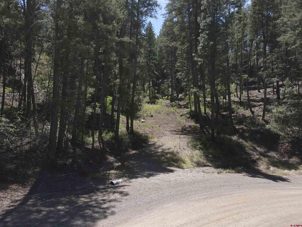 438 Loma Vista Court Pagosa Springs CO 81147