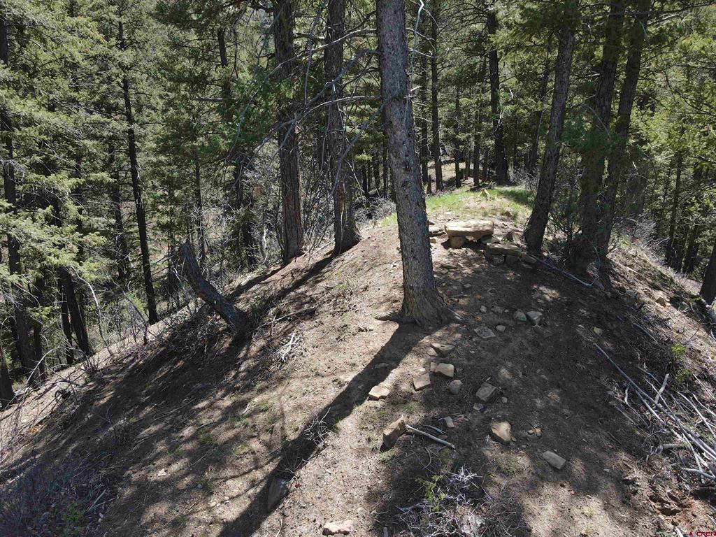 438 Loma Vista Court Pagosa Springs CO 81147